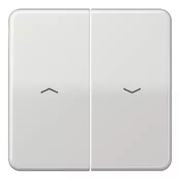 CD595PLG CD 500/CD plus Светло-серый Клавиша 2-я жалюзийная Jung