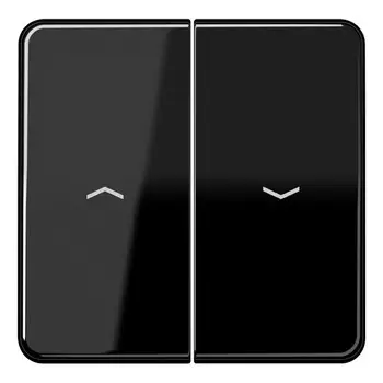 CD595PSW CD 500/CD plus Черный Клавиша 2-я жалюзийная Jung