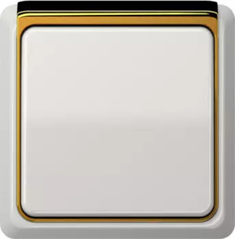CDP82GGO Рамка внешняя CD Plus Полированное золото 1-постовая Jung