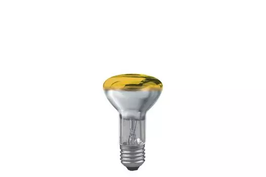 Диммируемая светодиодная лампа Paulmann E27 40W 23042