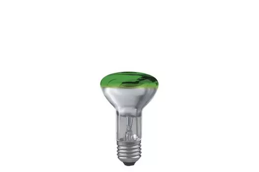 Диммируемая светодиодная лампа Paulmann E27 40W 23043