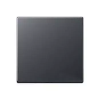 EP490AN EcoProfi Клавиша для выключателя; антрацит Jung