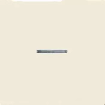 EP490KO EcoProfi Бежевый Клавиша 1-я с/п Jung