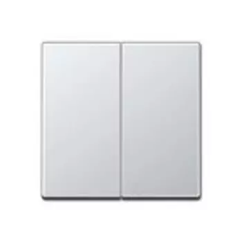 EP495AL EcoProfi Клавиши для сдвоенного выключателя; алюминий Jung