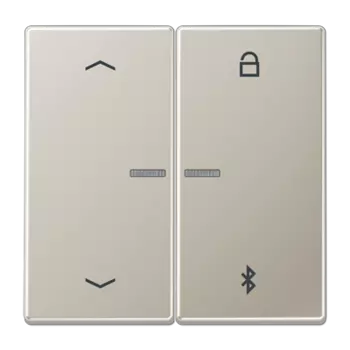 ES1751PBT нержавеющая сталь Таймер универсальный Bluetooth «стрелки» Jung LS серия