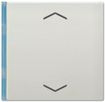 ES2404TSAP14 Клавиша со стрелками Jung LS серия