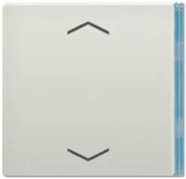 ES2404TSAP23 Клавиша со стрелками Jung LS серия