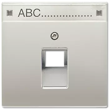 ES2969-1NAUA LS 990 Edelstahl Накладка 1-ой наклонной ТЛФ/комп розетки с полем для надписи Jung LS серия