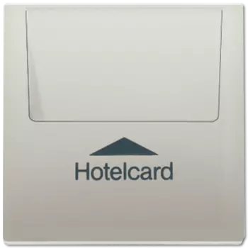 ES2990CARD Накладка карточного выключателя "HOTELCARD" Jung LS серия