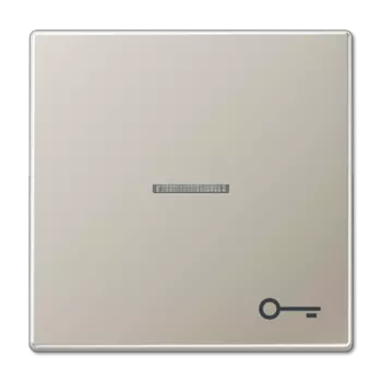 ES2990KO5T Клавиша для контрольного выключателя Jung LS серия