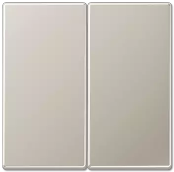 ES2995 LS 990 Edelstahl Клавиша 2-я Jung LS серия