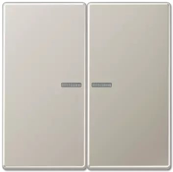 ES2995KO5 LS 990 Edelstahl Клавиша 2-я с подсветкой Jung LS серия