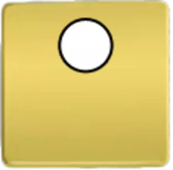 FD04315OB-M TV/SAT Монтажная плата для механизмов с одним коннектором черный, цвет Bright Gold FEDE