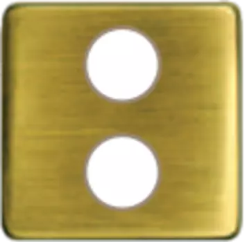 FD04316PB-A TV/SAT Монтажная плата для механизмов с двумя коннекторами бежевый, цвет Bright Patina FEDE