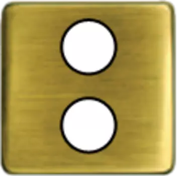 FD04316PB-M TV/SAT Монтажная плата для механизмов с двумя коннекторами черный, цвет Bright Patina FEDE