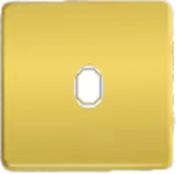 FD04320OR-A Латунная накладка для одиночного тумблерного выключателя, real gold + beige FEDE