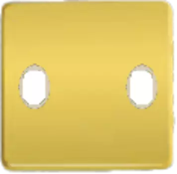 FD04321OR-A Монтаж. плата для выключателя тумблерного типа с 2 коннекторами, цвет real gold +беж. FEDE