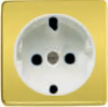 FD04335OB Обрамление розетки 2к+з, цвет bright gold, белый FEDE