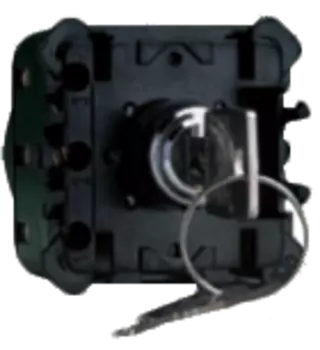 FD17566 Механизм переключателя "с двух мест" с извлекаемым ключем FEDE