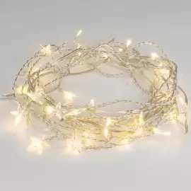 Гирлянда 100-002 100-002 теплый белый Eurosvet
