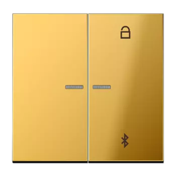 GO1751BT имитация золота Таймер универсальный Bluetooth Jung LS серия