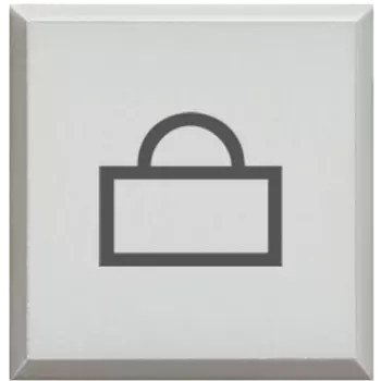 H4920BLP Axolute Сменные клавиши с символами для кнопок с подсветкой HD-4038LA/Посыльный Bticino