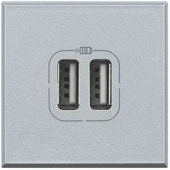 HC4285C2 Axolute разьем д/зарядки 2хUSB ал Bticino