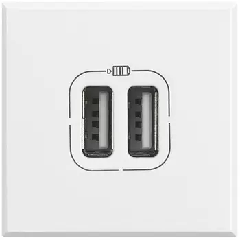 HD4285C2 Axolute разьем д/зарядки 2хUSB бел Bticino