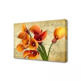 Холст Каллы Toplight 50х75х2см TL-H3028