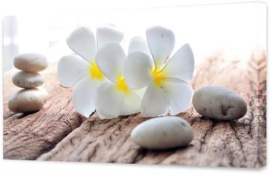 Холст Toplight 50х100х3см TL-H0031