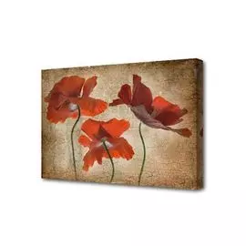 Холст Toplight 50х75х2см TL-H3029