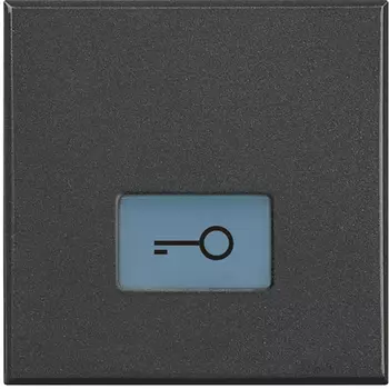 HS4921/2LF Axolute Клавиши с подсвечиваемыми символами для выключатель в дизайне AXIAL - 2 модуля, ключ Bticino