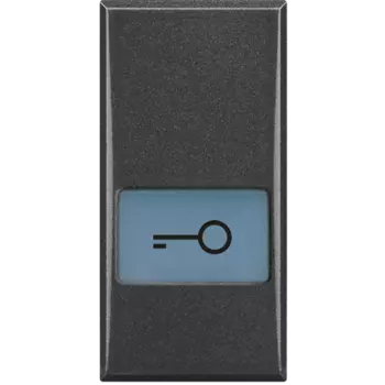 HS4921LF Axolute Клавиши с подсвечиваемыми символами для выключатель в дизайне AXIAL - 1 модуль, ключ Bticino