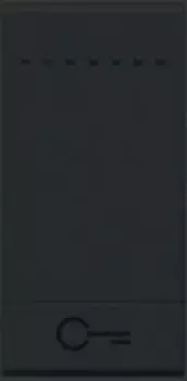 L4915FN LivingLight Клавиша Ключ, размер 1 модуль Bticino