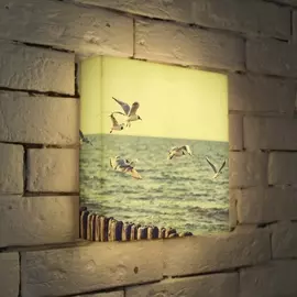Лайтбокс Чайки 25-25-d-106 Photobox