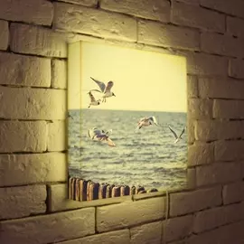 Лайтбокс Чайки 35-35-d-106 Photobox