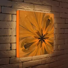 Лайтбокс Цветок 3 45-45-d-050 Photobox