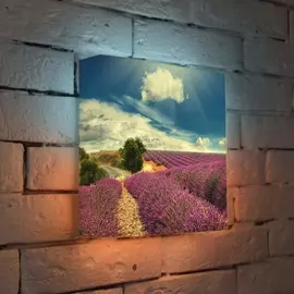 Лайтбокс Цветущие поля 25-25-d-034 Photobox