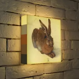 Лайтбокс Дюрер "Заяц" 25-25-d-163 Photobox