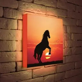 Лайтбокс Конь 35-35-d-054 Photobox