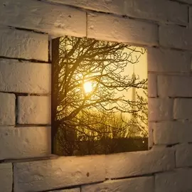 Лайтбокс Осенний туман 25-25-d-090 Photobox