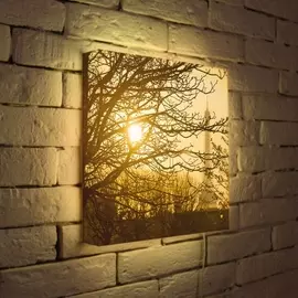 Лайтбокс Осенний туман 35-35-d-090 Photobox