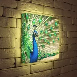 Лайтбокс Павлин 2 35-35-d-088 Photobox