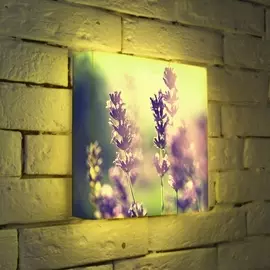 Лайтбокс Полевые цветы 25-25-d-044 Photobox