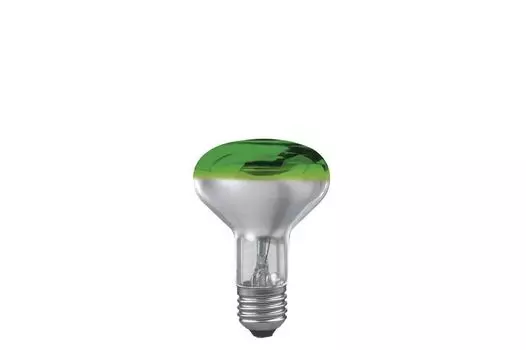 Лампа накаливания лампа Paulmann E27 60W 25063