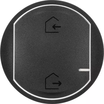 Лицевая панель для главного беспроводного выключателя "Я дома/Я вне дома". Цвет Графит Legrand Celiane with NETATMO 064832