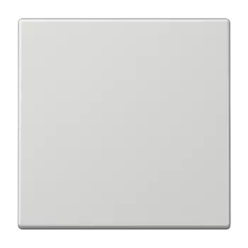 LS1700LG светло-серый Центральная плата стандарт Jung LS серия