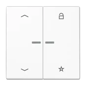 LS1701PWW белый Центральная плата универсальная «стрелки» Jung LS серия