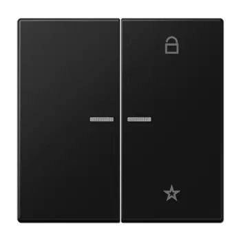 LS1701SWM матовый чёрный графит Центральная плата универсальная Jung LS серия