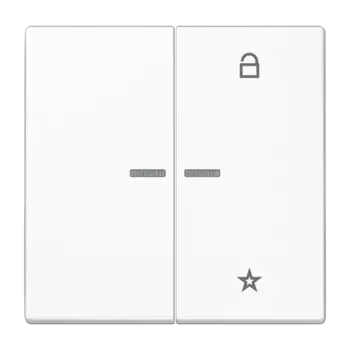 LS1701WW белая Центральная плата универсальная Jung LS серия